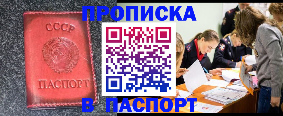 прописка для школы в Пушкино
